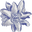 SASSO logo